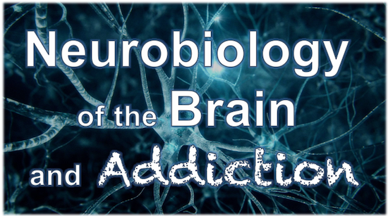 Neurobiology of the Brain and Addication